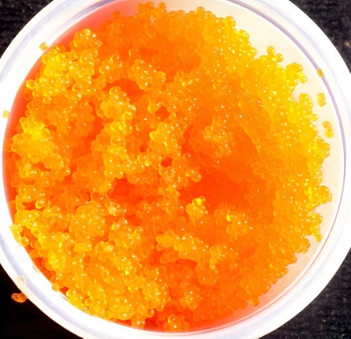 Masago.